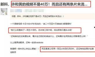 台媒最近爆料视频,揭秘事件背后惊人真相 第3张 台媒最近爆料视频,揭秘事件背后惊人真相 第3张