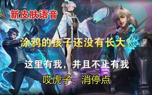 流浪者语音台词爆料视频,幕后故事与情感波动