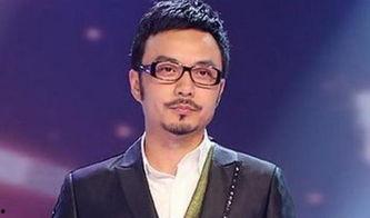 汪涵爆料男明星视频播放,揭秘娱乐圈不为人知的一面  第1张